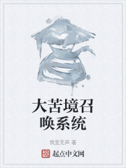 大苦境召唤系统
