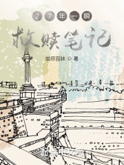 27年一瞬，救赎笔记
