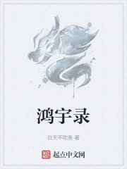 鸿宇录