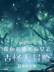 我和我的半血兄弟古怪大冒险
