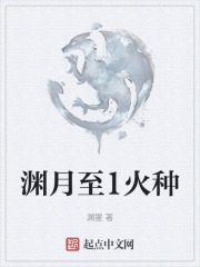 渊月至1火种
