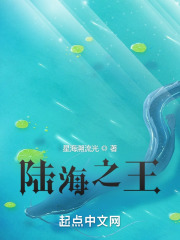 陆海之王