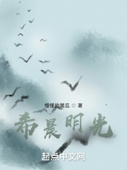 希晨明光