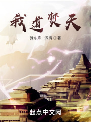 我道焚天