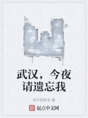 武汉，今夜请遗忘我