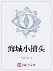 海城小捕头