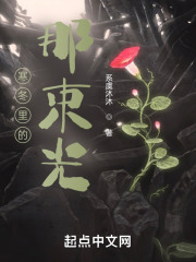 寒冬里的那束光