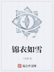 锦衣如雪