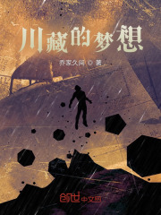 川藏的梦想