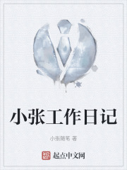 小张工作日记