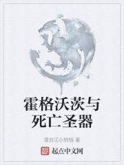 霍格沃茨与死亡圣器