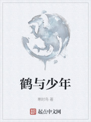 鹤与少年