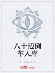 八十迈倒车入库