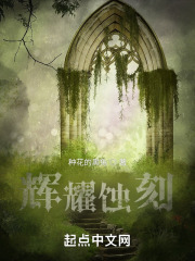 辉耀蚀刻