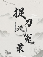 捉刀洗冤录