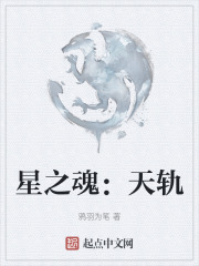 星之魂：天轨