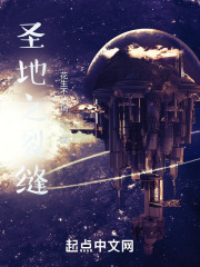 圣地之裂缝