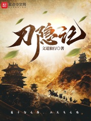 刀隐记