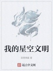 我的星空文明