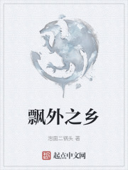 飘外之乡
