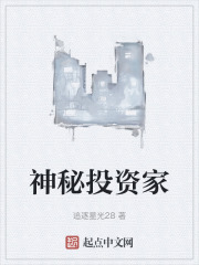 神秘投资家