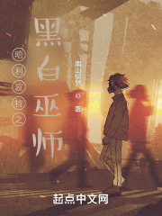 哈利波特之黑白巫师