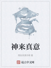 神来真意