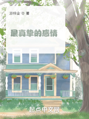 最真挚的感情