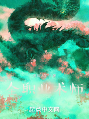全职业术师