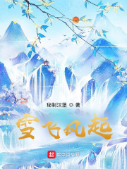 雪飞风起