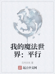 我的魔法世界：平行