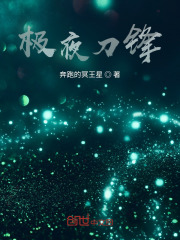 极夜刀锋