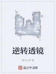 逆转透镜