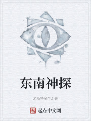 东南神探