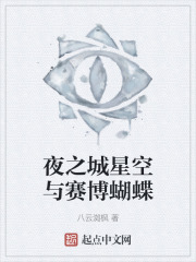 夜之城星空与赛博蝴蝶