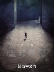 虚梦真影