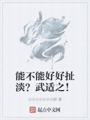 能不能好好扯淡？武适之！