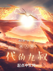 在见九叔
