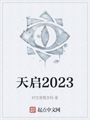 天启2023