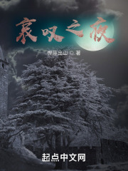 哀叹之夜