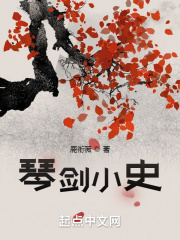 琴剑小史