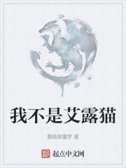 我不是艾露猫