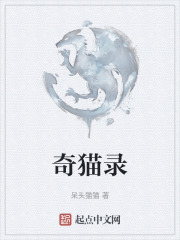 奇猫录