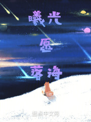 曦光愿落海
