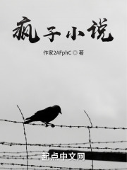 疯子小说