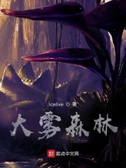 大雾森林