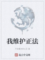 我维护正法