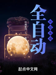 全自动外挂系统