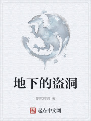 地下的盗洞