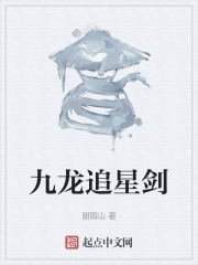 九龙追星剑